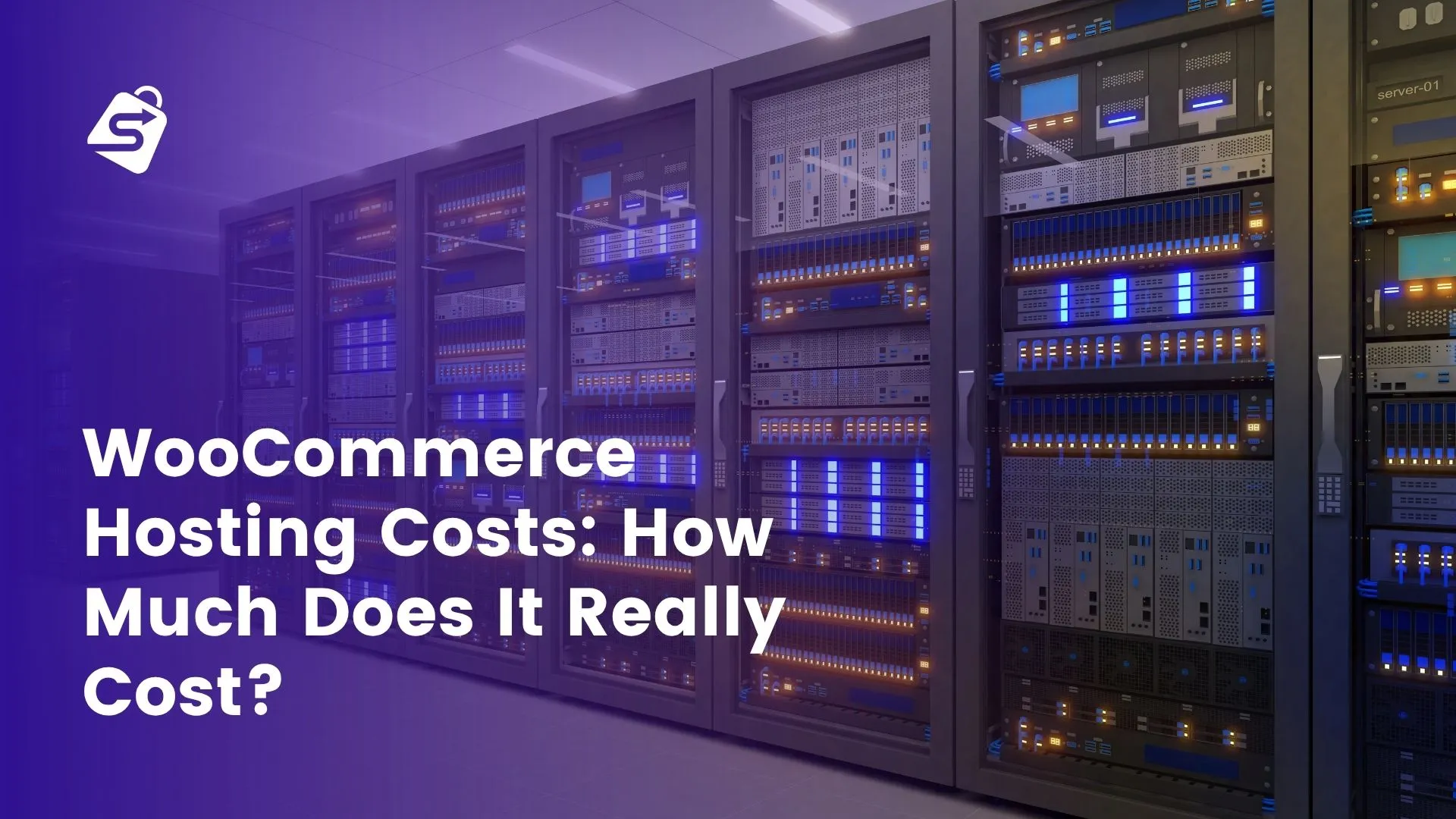 WooCommerce Hosting Costs: How Much Does It Really Cost